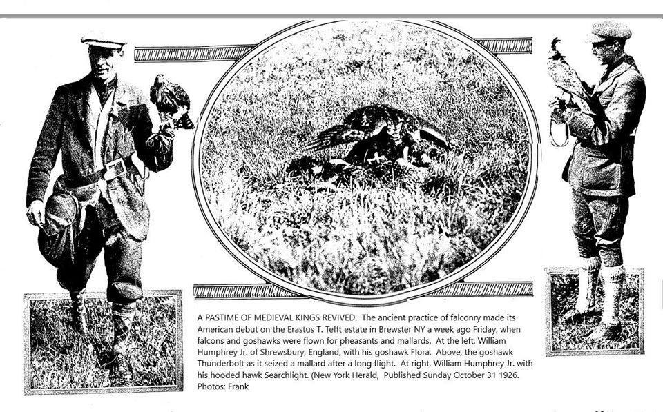 WILLIAM HUMPHREY JR., a highly regarded falconer from Shrewsbury, England, came to New York in Octob