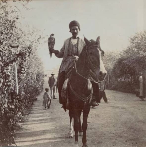 A Persian falconer on horseback, Late 19th Century, Early 20th Century Gelatin silver print 78 mm x